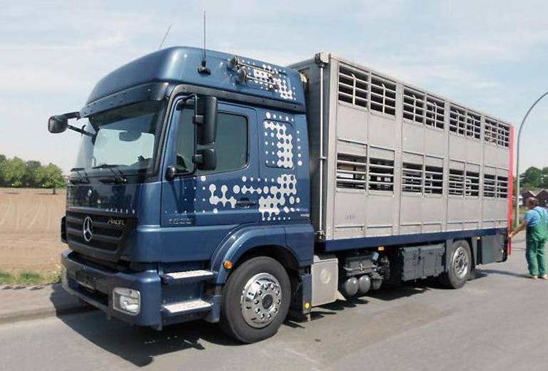 Сколько стоит перевозка коз недорого из Испания, Аликанте в Россия, Федоскино